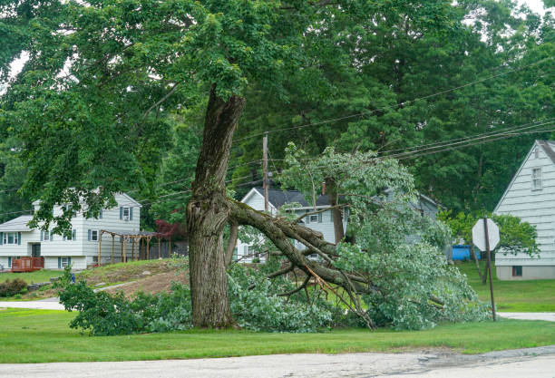 Best Commercial Tree Services  in Powers Lake, WI